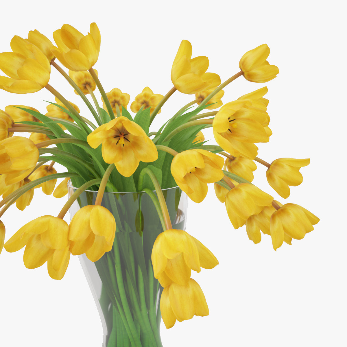 FREE Realistic Tulips Bouquet in Vase 3D Model