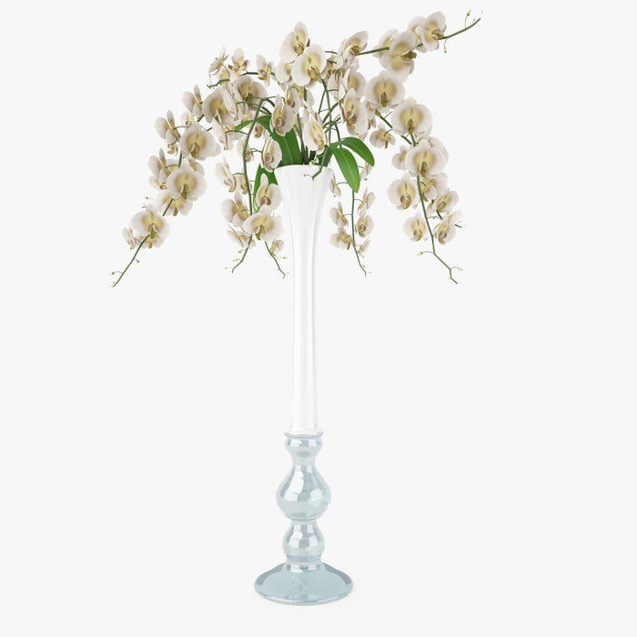 FREE Orchid Flowers in Vase 3D Model