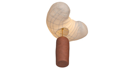 Bennet Schlesinger Lightsong Exchange Lamp 3D Model