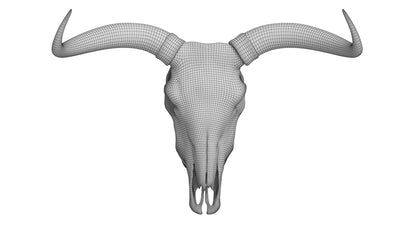 Cattle Cow Skull and Horns Collection 3D Model