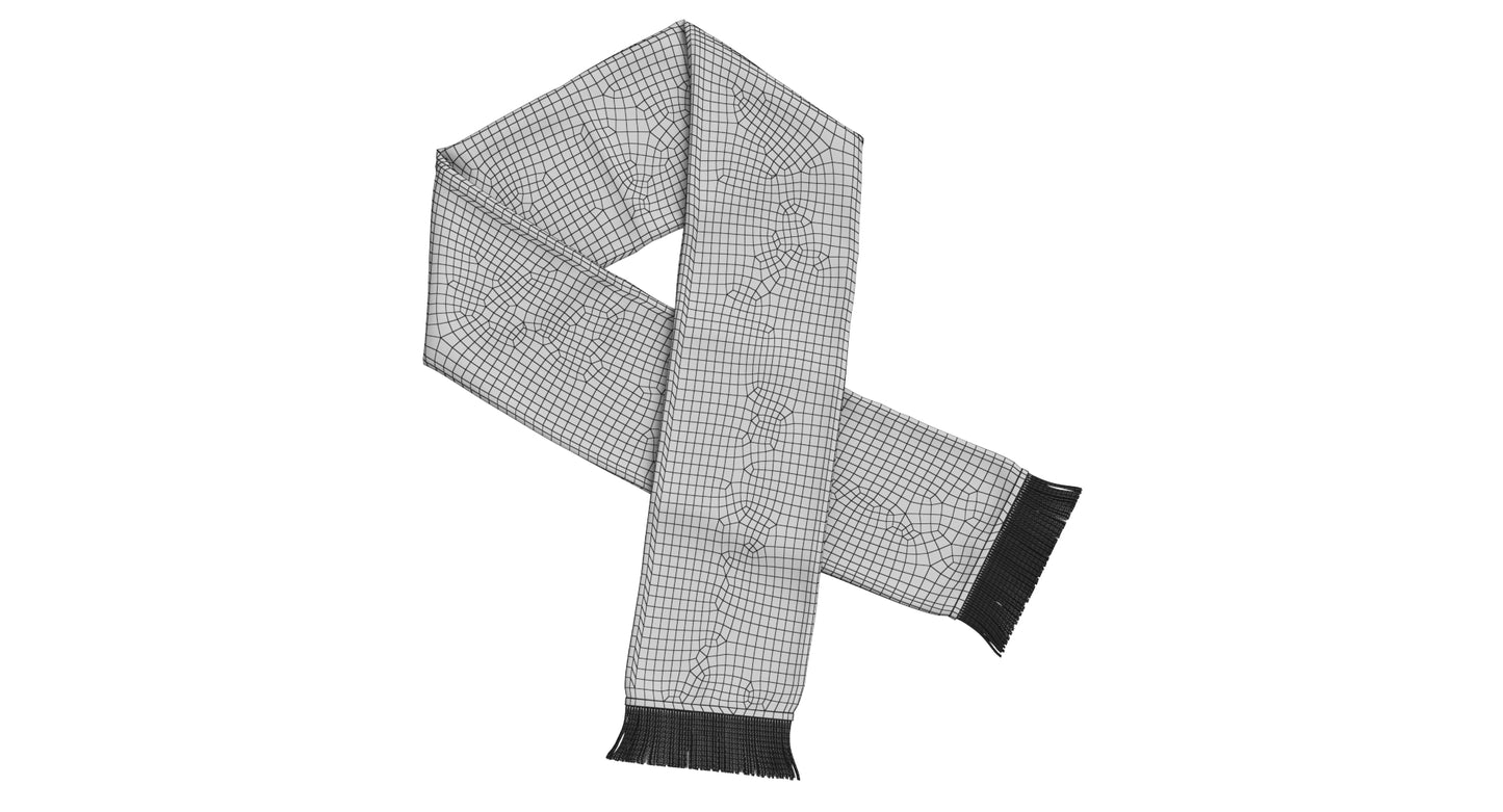 Football Fan Scarf 08 3D Model