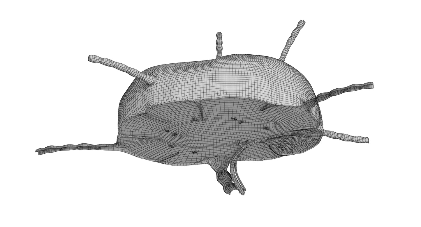 Lymph Node 3D Model