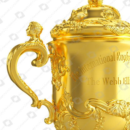 Rugby World Cup Trophy Collection 3D Model