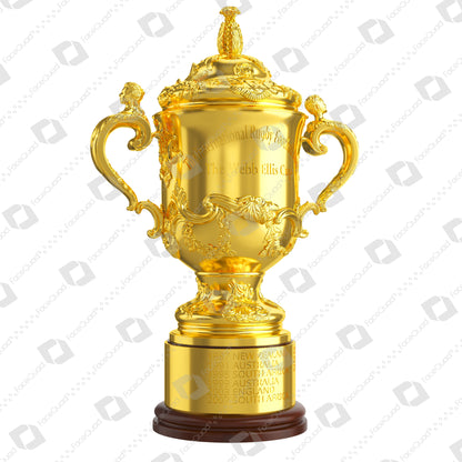 Rugby World Cup Trophy Collection 3D Model