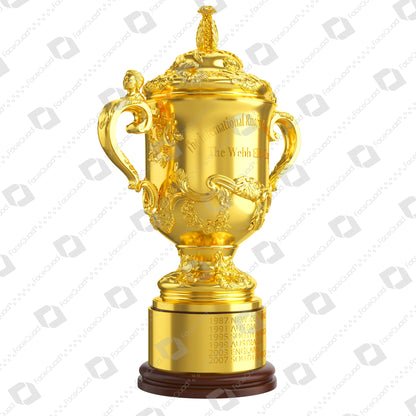 Rugby World Cup Trophy Collection 3D Model