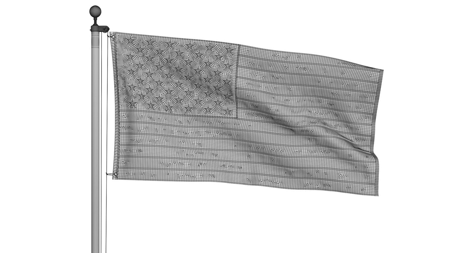 USA Flag on High Flagpole 3D Model