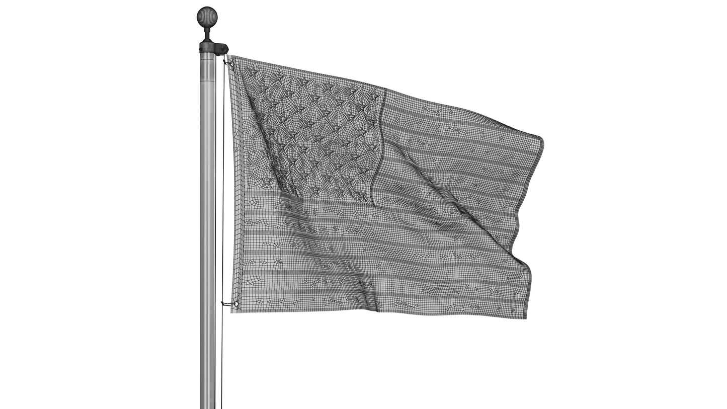 USA Flag on High Flagpole 3D Model