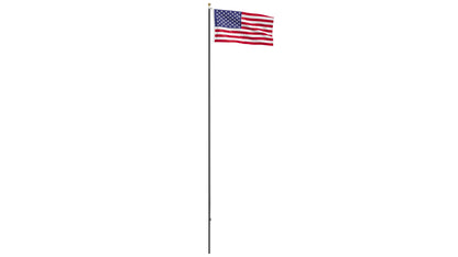 USA Flag on High Flagpole 3D Model