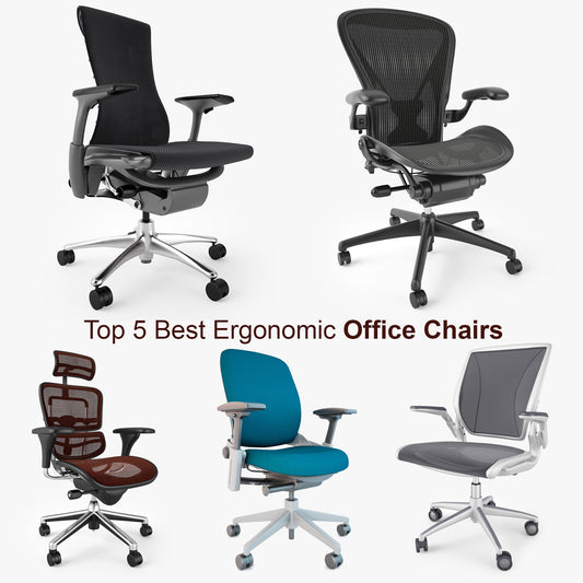 Top 5 Best Ergonomic Office Chairs 3D Model