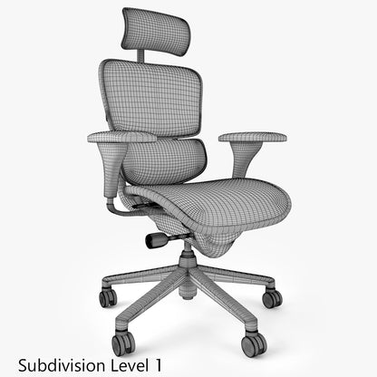 Raynor Ergohuman Office Chair 3D Model