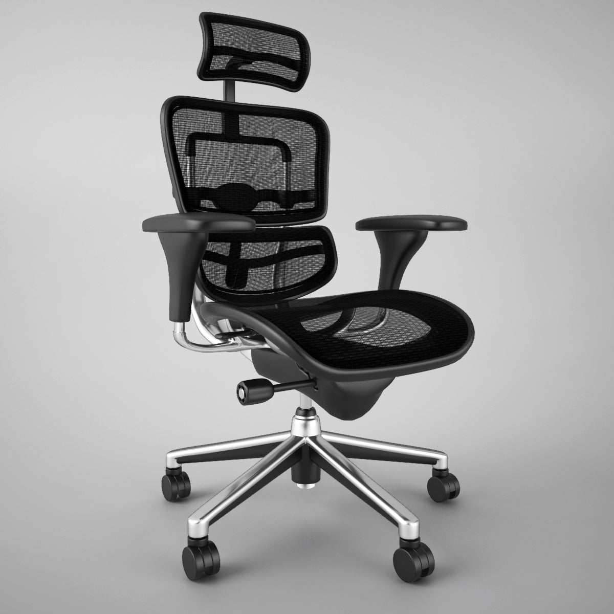 Raynor Ergohuman Office Chair 3D Model