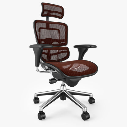 Raynor Ergohuman Office Chair 3D Model