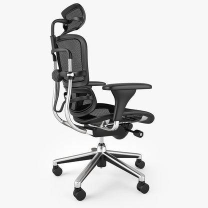 Raynor Ergohuman Office Chair 3D Model