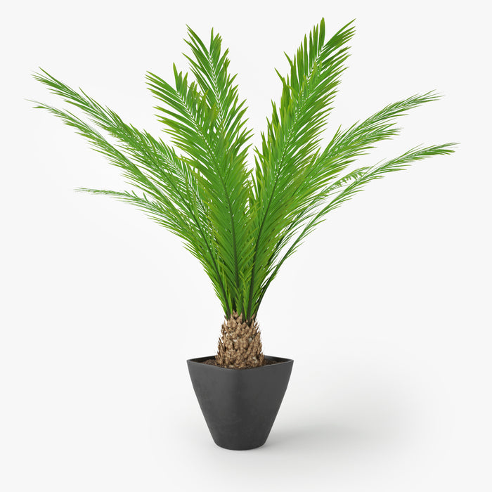 Palm Tree in Pot 3D Model