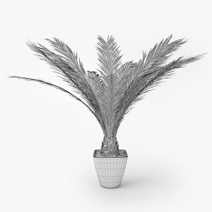 Palm Tree in Pot 3D Model