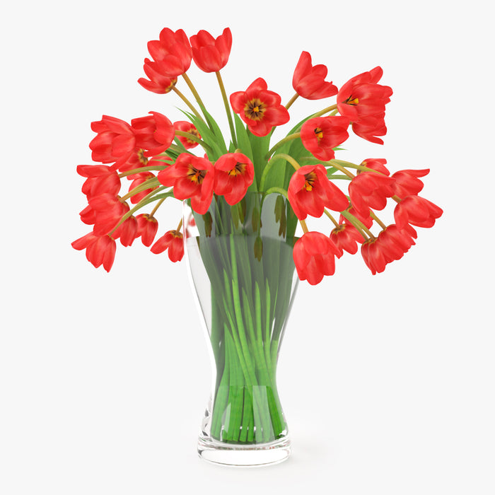 FREE Realistic Tulips Bouquet in Vase 3D Model