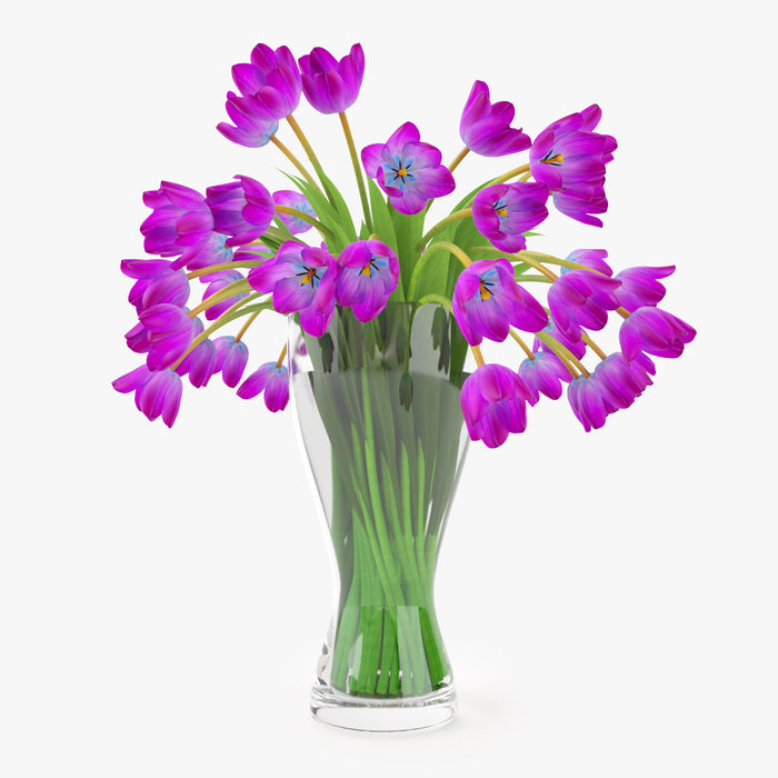 FREE Realistic Tulips Bouquet in Vase 3D Model