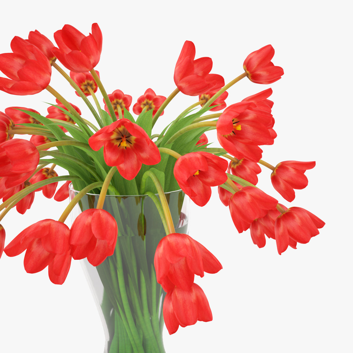 FREE Realistic Tulips Bouquet in Vase 3D Model