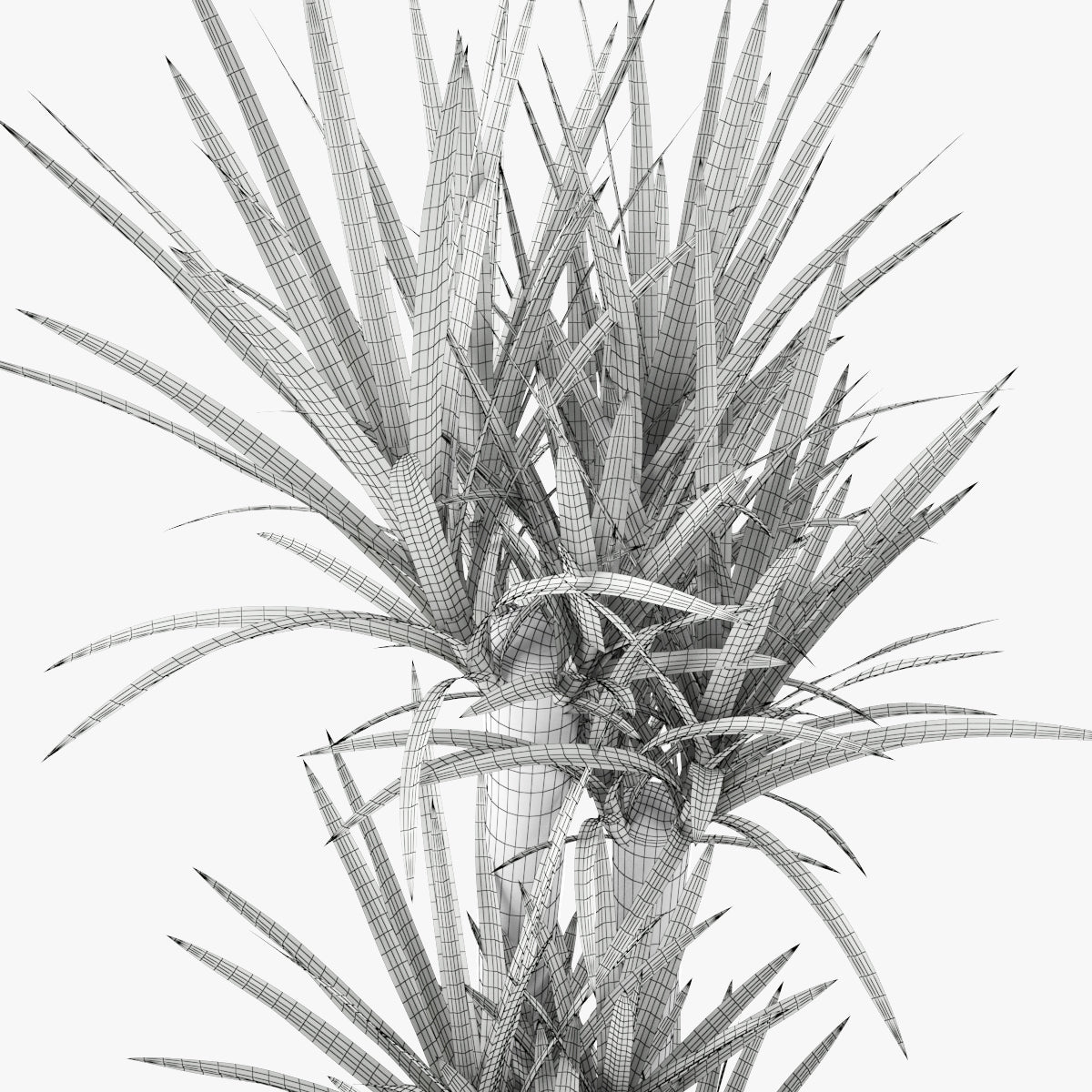 FREE Yucca Elephantipes Potted Plant 3D Model