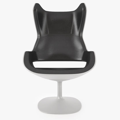 Zanotta Evolution Armchair 3D Model