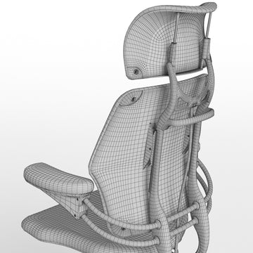 Ergonomic Executive Chair with Headrest, Freedom