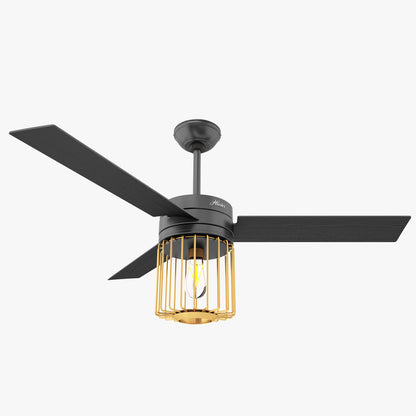 Hunter Ronan Ceiling Fan with Light 3D Model