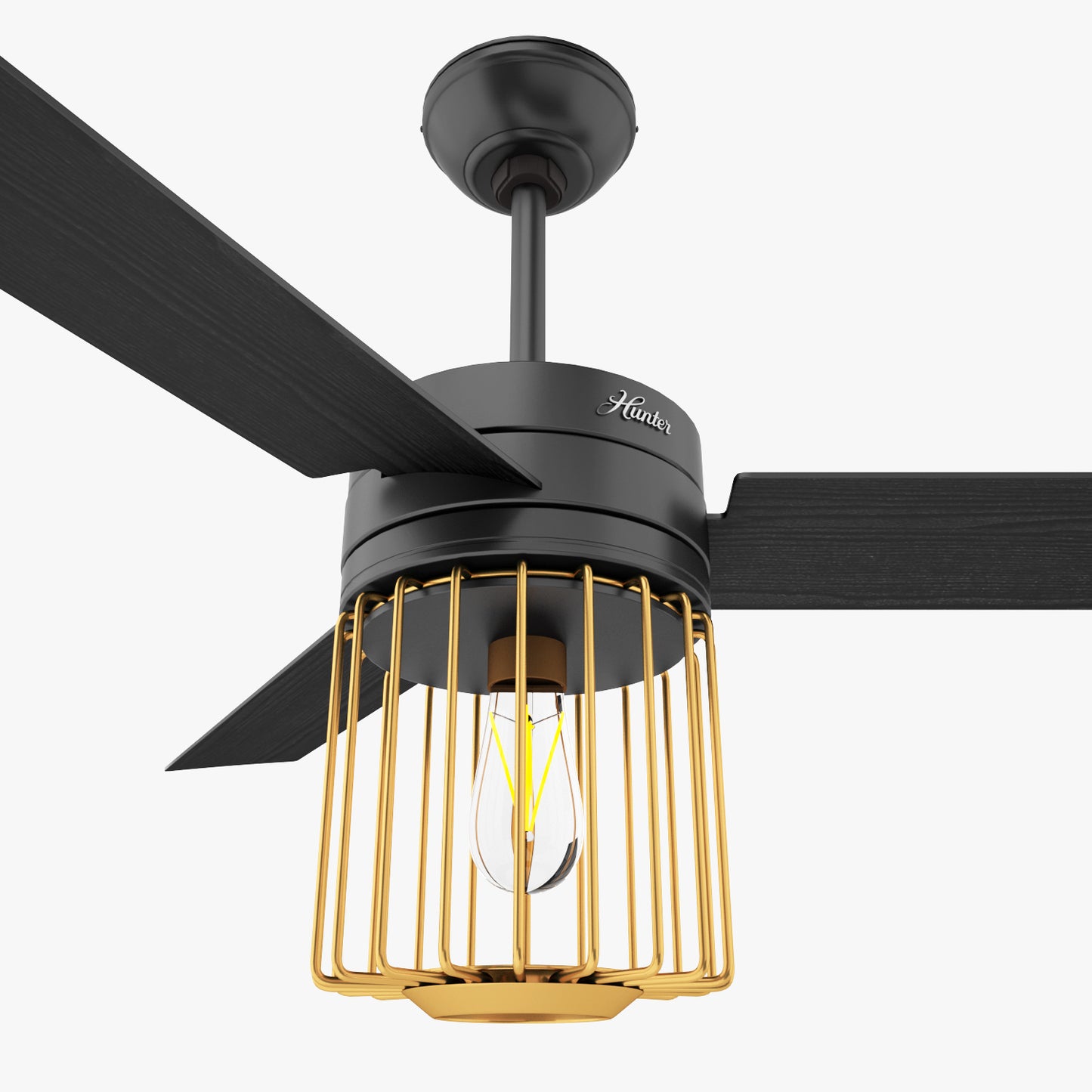 Hunter Ronan Ceiling Fan with Light 3D Model