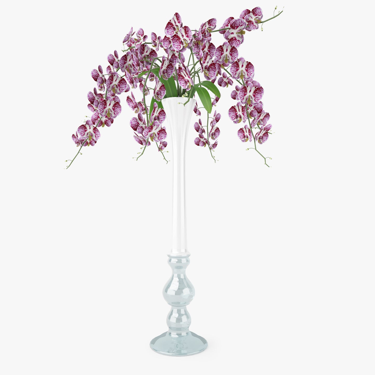 FREE Orchid Flowers in Vase 3D Model