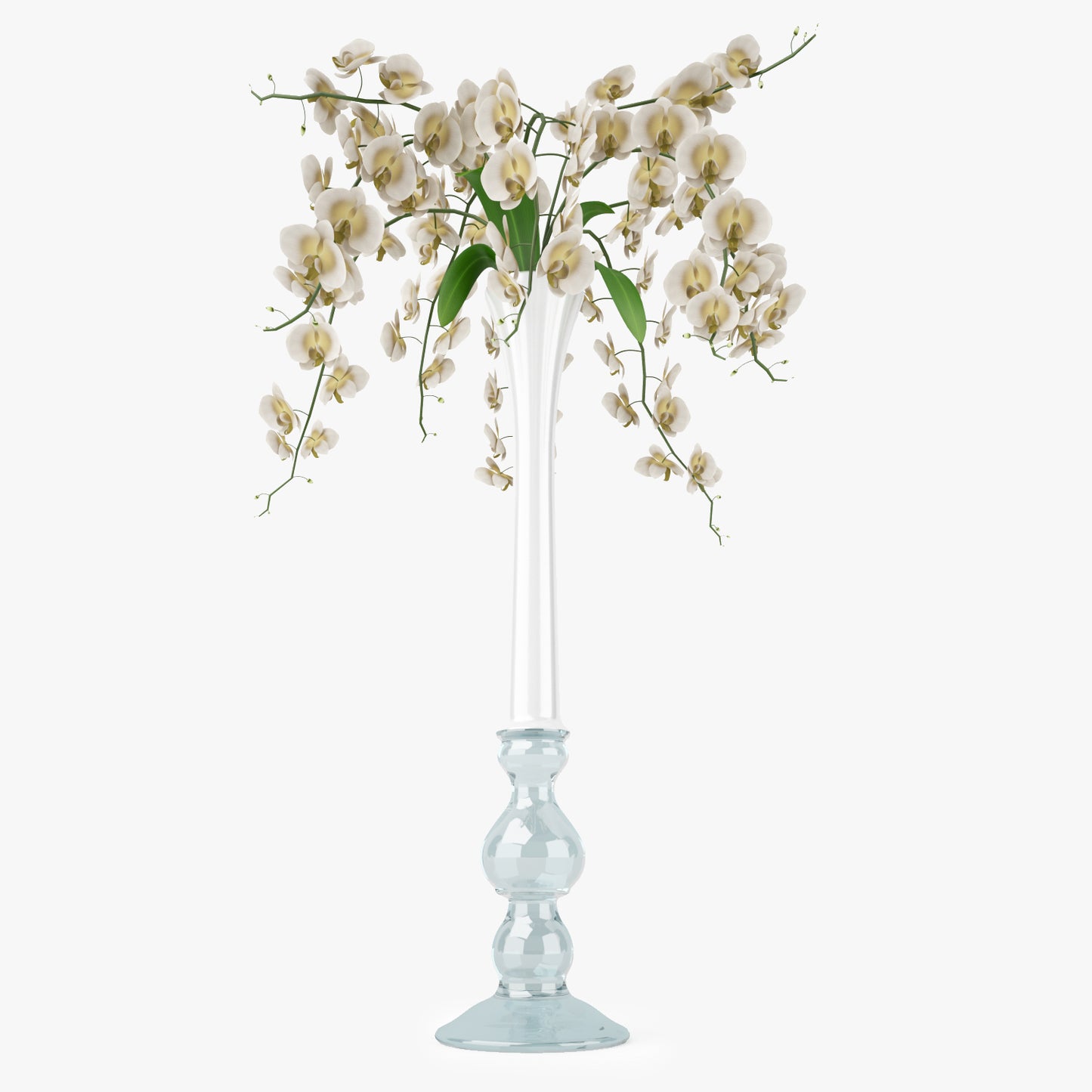 FREE Orchid Flowers in Vase 3D Model