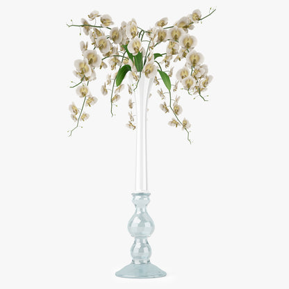 FREE Orchid Flowers in Vase 3D Model